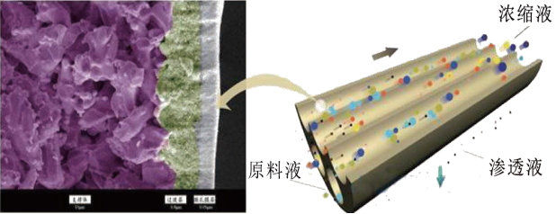 86a657808439a2411c2b40e1233ac1cc